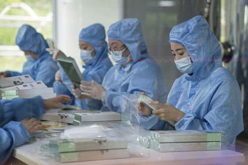 有綠、有技、有特色 鄉村振興新活力中的生物科技力量