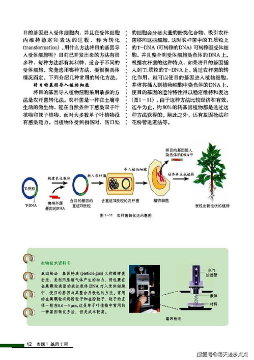 人與自然的橋梁 深度解析人教版高中生物選修3——現(xiàn)代生物科技專題最新高清版